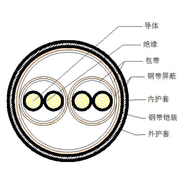 銅芯聚乙烯絕緣銅帶繞包分總屏蔽 鋼帶鎧裝聚氯乙烯護套計算機電纜-DJYP2VP2-22-300/500V